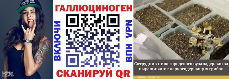 Псилоцибиновые грибы Magic Shrooms Кудымкар