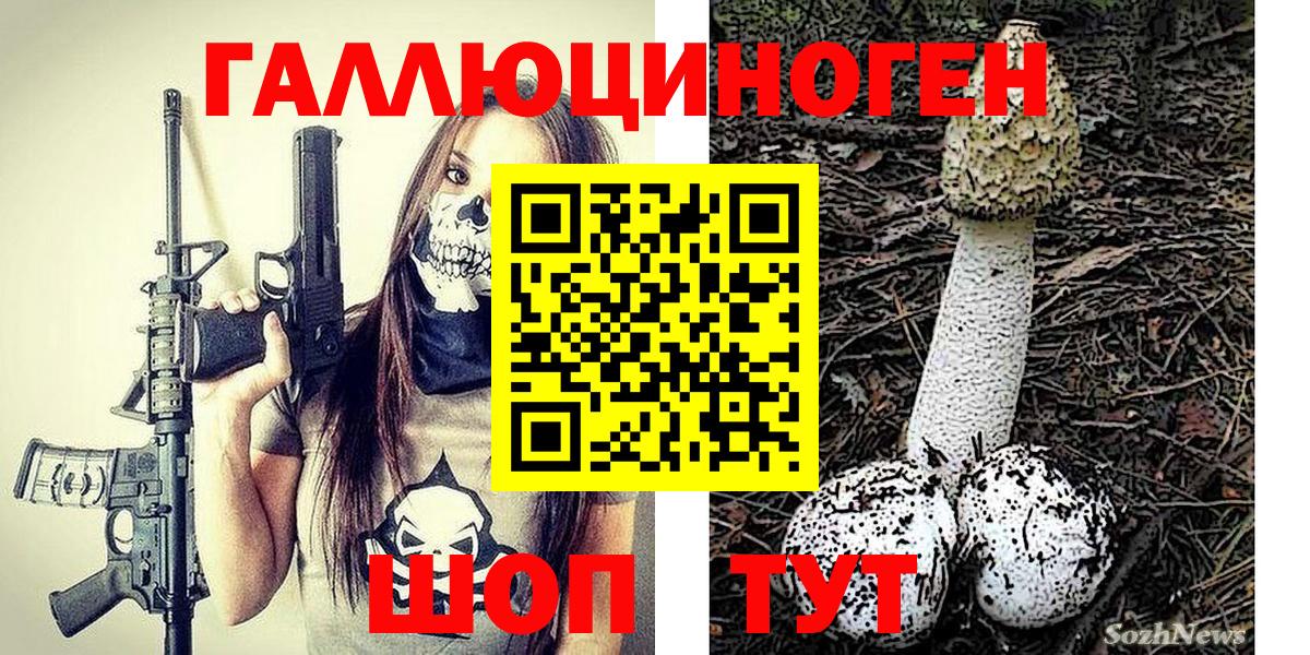 цена наркотик  Вход с VPN  Псилоцибиновые грибы Psilocybe  Кудымкар  Галлюциногенные грибы Psilocybe 